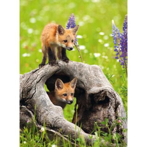 Puzzle Pui de Vulpe Ravensburger 300 piese