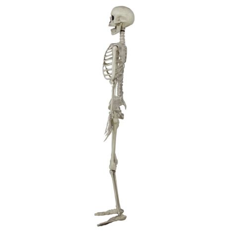 Decor Schelet Guirca 90cm - Halloween - imagine 4