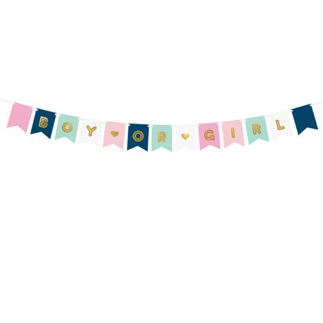 Banner Universal Petrecere Baiat Fata | Party Deco