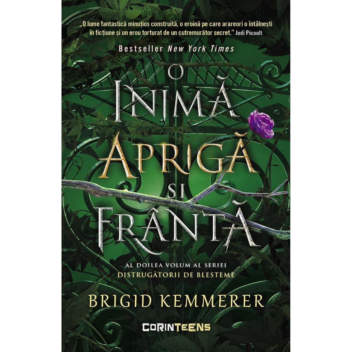 O inima apriga si franta - Brigid Kemmerer | Corint