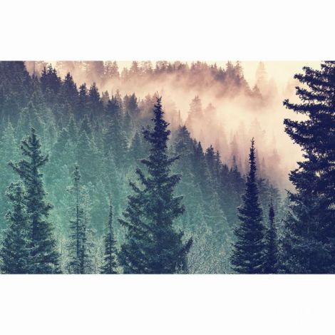 Puzzle Pădure, 200 Piese Ravensburger - Relaxare - imagine 2