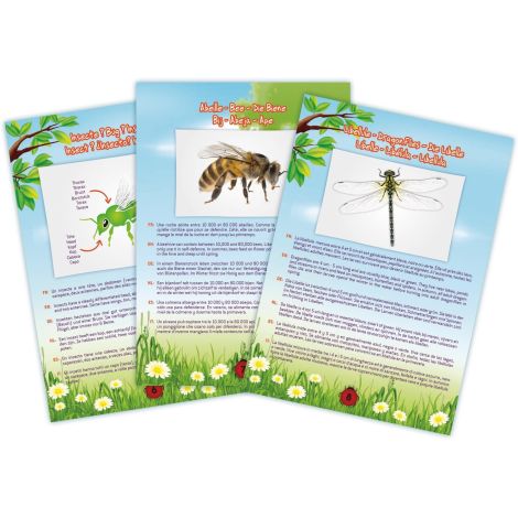 Aspirator insecte BUKI BL052 | Jucărie educativă biologie - imagine 3