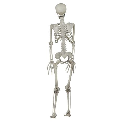 Decor Schelet Guirca 90cm - Halloween - imagine 5