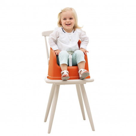 Scaun Evolutiv Thermobaby Youpla Terracotta 6luni-3ani - imagine 5