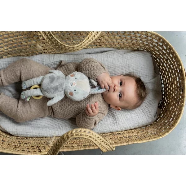 Jucarie Muzicala Taf Toys Iepurasul Rylee - imagine 5