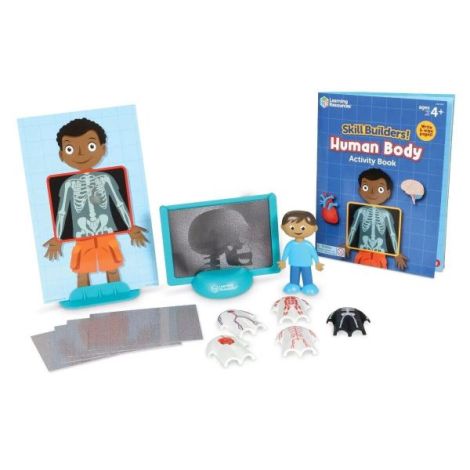 Set Anatomie Corpul Uman - Learning Resources - imagine 3