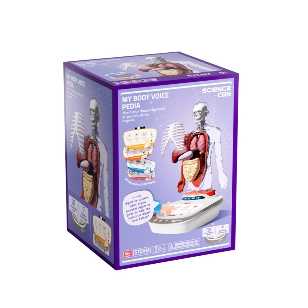 Joc Anatomie Umană TopBright - Set Interactiv STEM