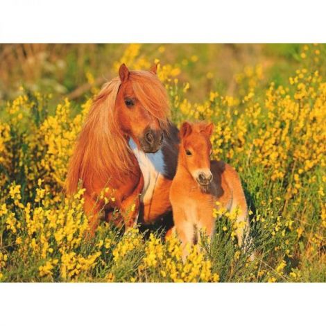 Puzzle Ponei 100 Piese Calitate Ravensburger