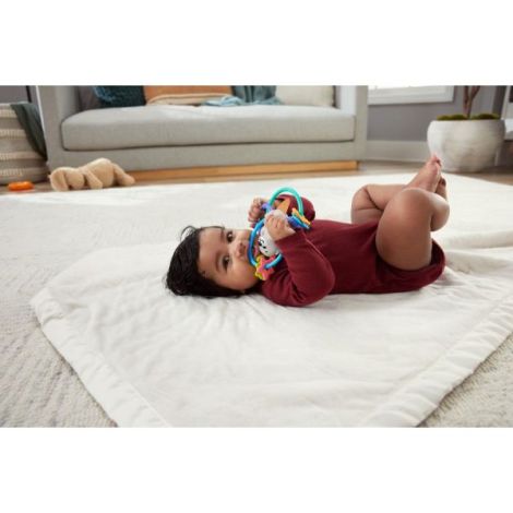 Fisher Price Jucarie Dentitie Vidra BPA-Free - imagine 5