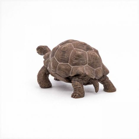 Papo Testoasa Galapagos - Figurina Detaliata - imagine 8