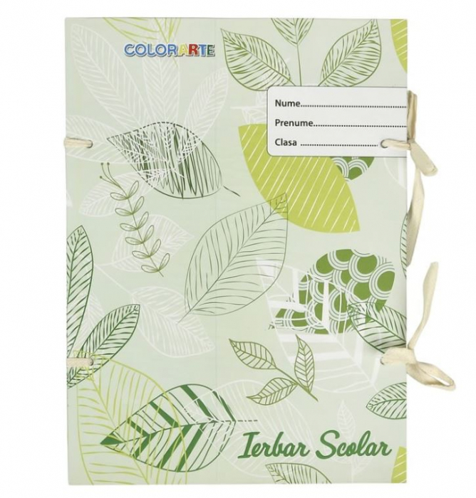 Ierbar scolar Colorart, 30 file, A4, Cu snur