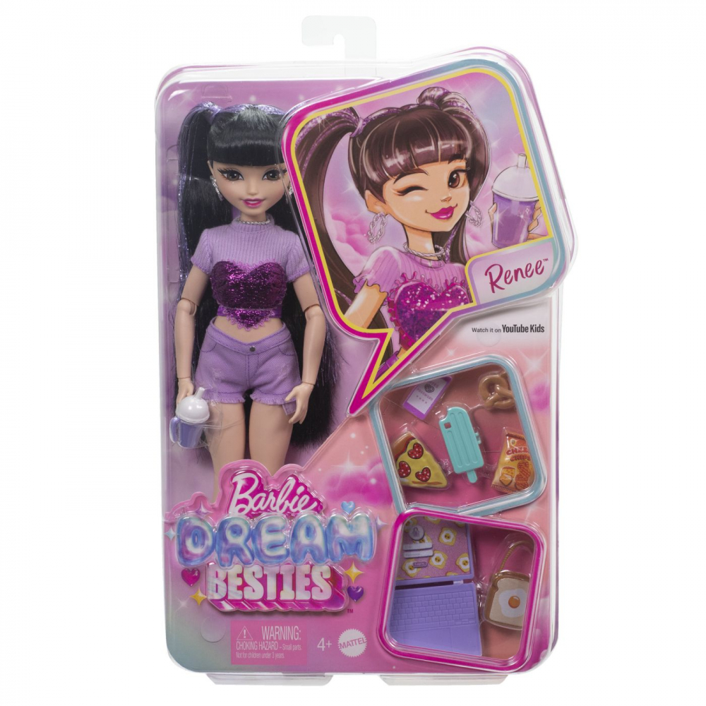 Barbie Dream Besties Renee cu Accesorii Mattel