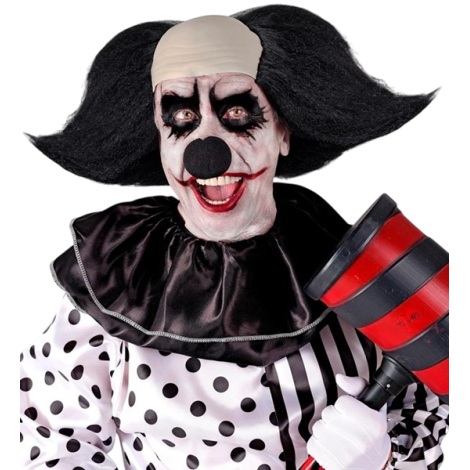 Peruca Clown Sinistru Widmann | Look Infricosator