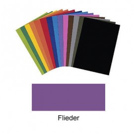 Carton Colorat Mov 220g, Folia, Set 10 Coli