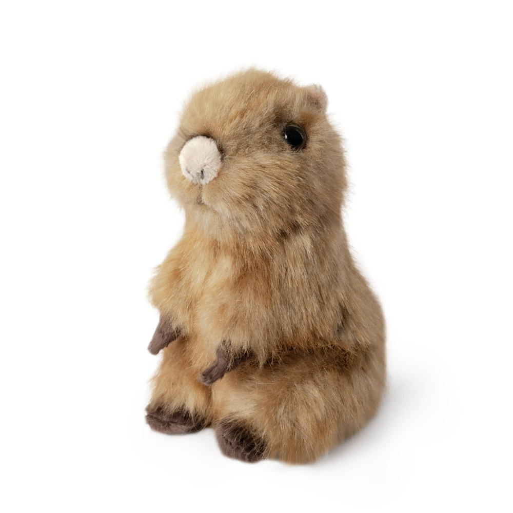 Pui Capybara Plus Living Nature | Jucărie Realistă