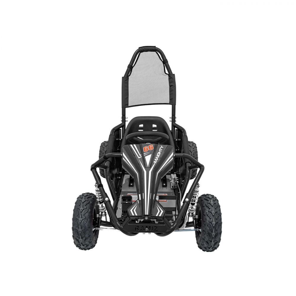 Ramiz Kart Electric 1000W - Adrenalină și Siguranță - imagine 2
