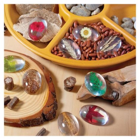 Pietre Specimen Plante Guidecraft - Set Educativ - imagine 3
