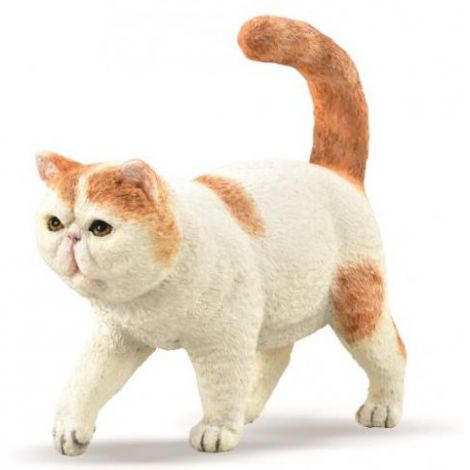 Figurina Pisica Exotic Shorthair Collecta
