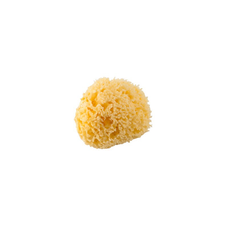 Rotho Burete Natural Bebelus - Igiena Premium - imagine 4