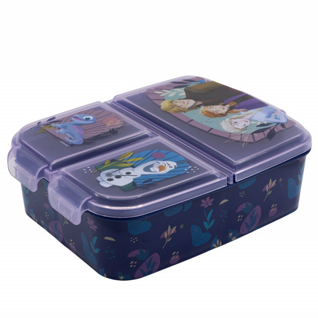 Cutie Compartimentată Sandwich Frozen | Stor