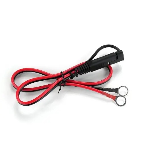 Încărcător Inteligent everActive 12V/24V 2-10A - imagine 4