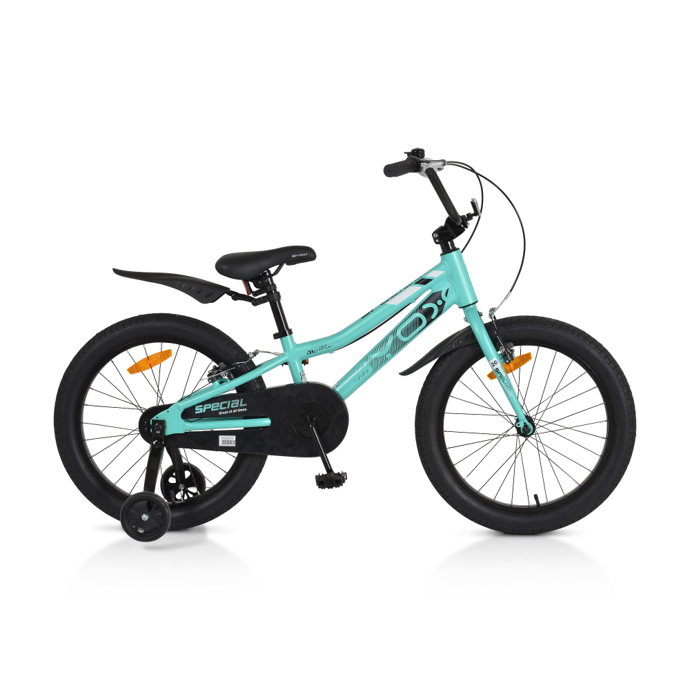Bicicleta Byox Special Mint 20 inch cu roti