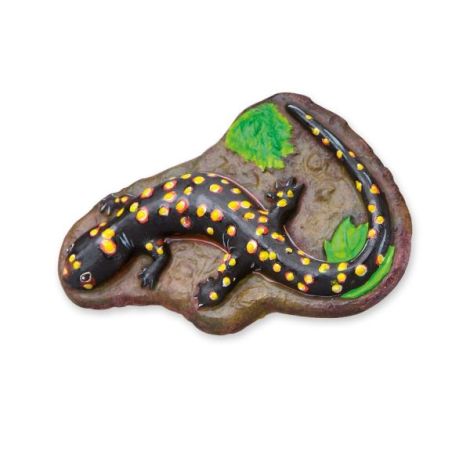 Ses Creative Set Animale Fluorescente Manual - imagine 3