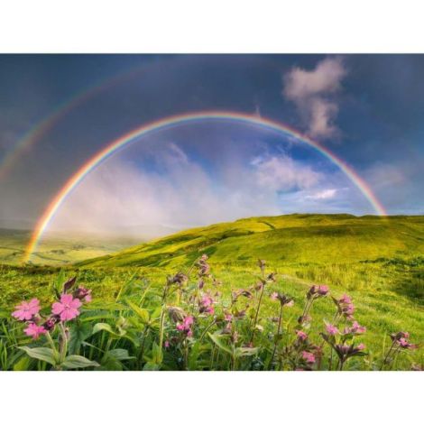 Puzzle Curcubeu Ravensburger 1500 piese