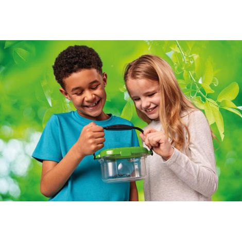 Observator Insecte Brainstorm | Mic Naturalist - imagine 3