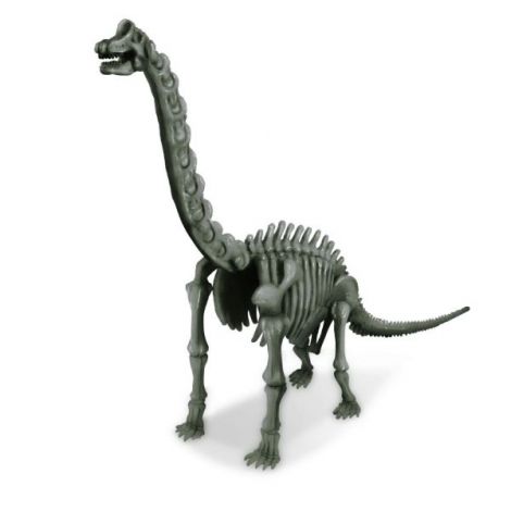 4M Brachiosaurus Sapa și Descoperă Set Educativ - imagine 2