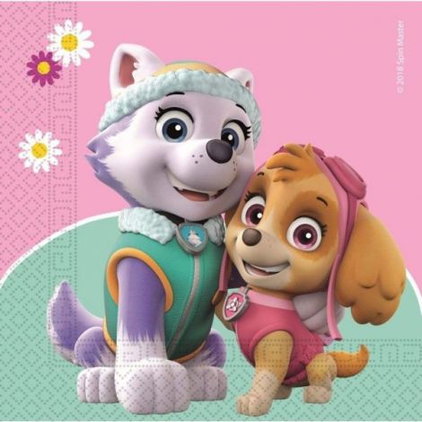 Servetele Paw Patrol Skye & Everest | Procos