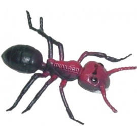 Set 12 Figurine Insecte Miniland | Educaționale - imagine 9