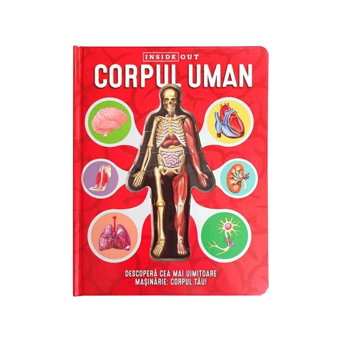 Corpul Uman 3D Inside Out - Kreativ