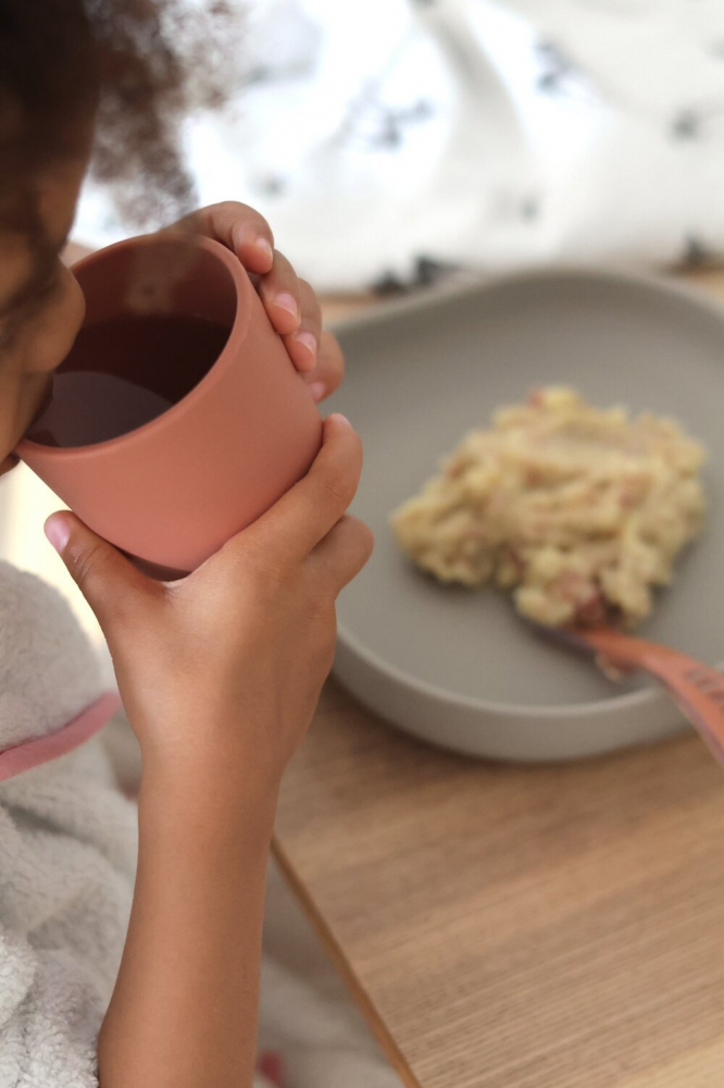 Set Masa Silicon Beaba Terracotta 4 Piese - imagine 6