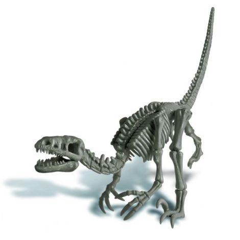 Set 4M Sapa Descopera Velociraptor Educativ - imagine 9