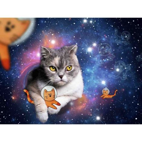 Puzzle Ravensburger 1500 Piese: Pisici în Spațiu