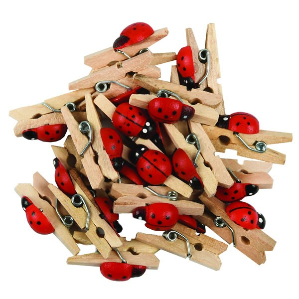 Set 20 carlige lemn buburuze Colorart