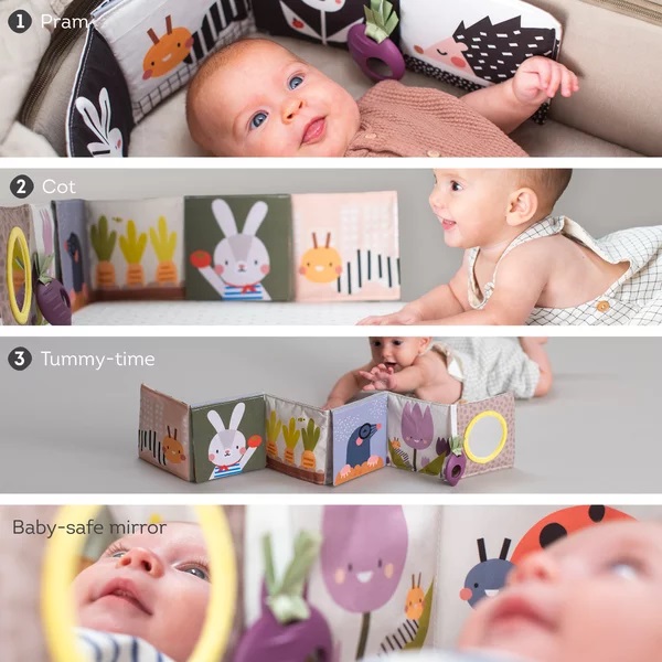 Jucarie 3 in 1 Landou Taf Toys Urban Garden - imagine 4