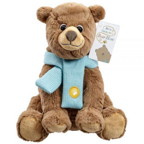 Urs Plus Rainbow Designs 25cm - We're Going On a Bear Hunt