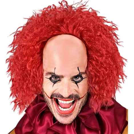 Peruca Clown Vintage Widmann | Transformare Instant - imagine 2