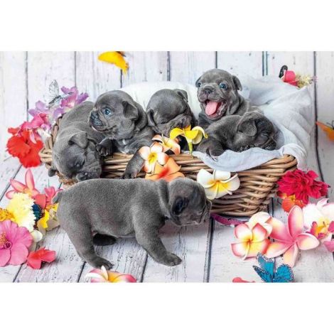Puzzle Cateluși Ravensburger 2x12 Piese - imagine 2