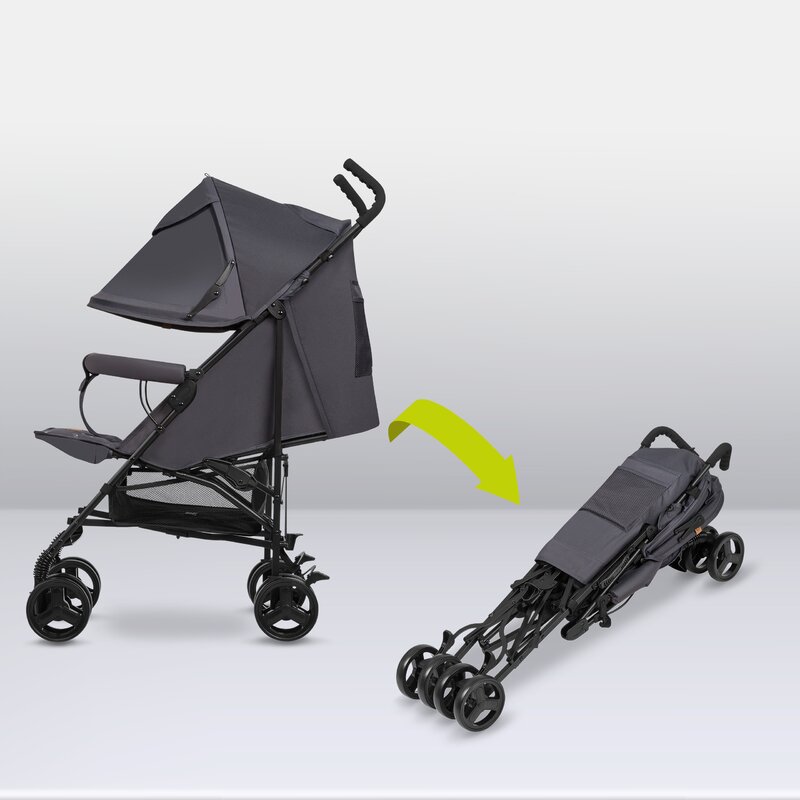 Carucior Lionelo Elia Gri, Plasa Tantari - imagine 7