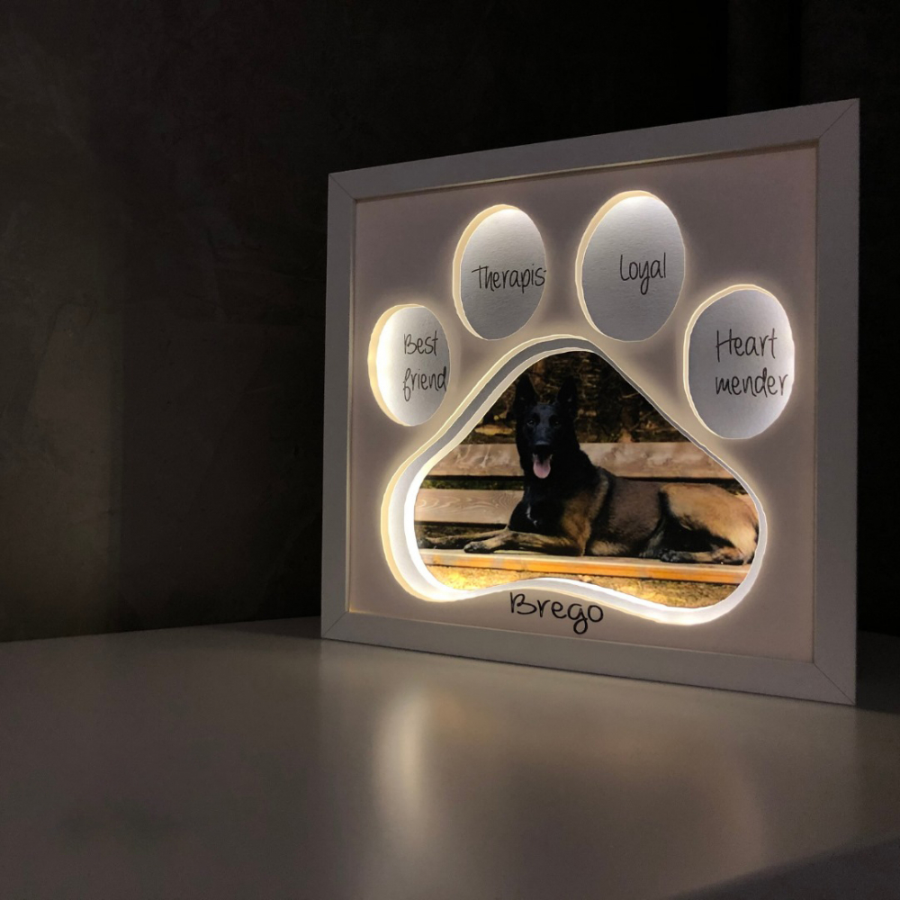 Tablou Luminos Caine 004 Noorhandmadeatelier