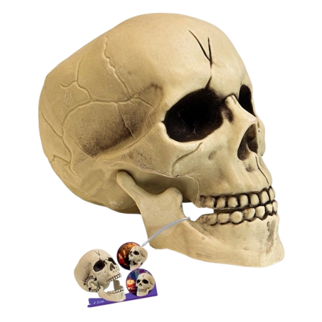 Cap Schelet Widmann 21cm - Decor Halloween - imagine 2