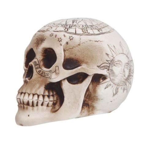 Cap Schelet Spiritism Guirca 20cm - Decor Halloween - imagine 2