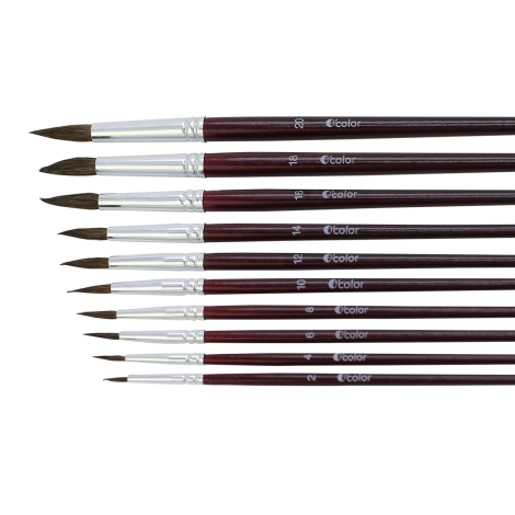 Set 10 pensule Ocolor par de ponei nr8