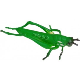 Set 12 Figurine Insecte Miniland | Educaționale - imagine 12