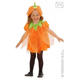 Costum Dovlecel Copii Widmann | Rochiță+Pălărie