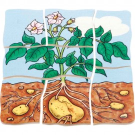 Puzzle Stratificat Cartoful Beleduc | Educativ - imagine 5