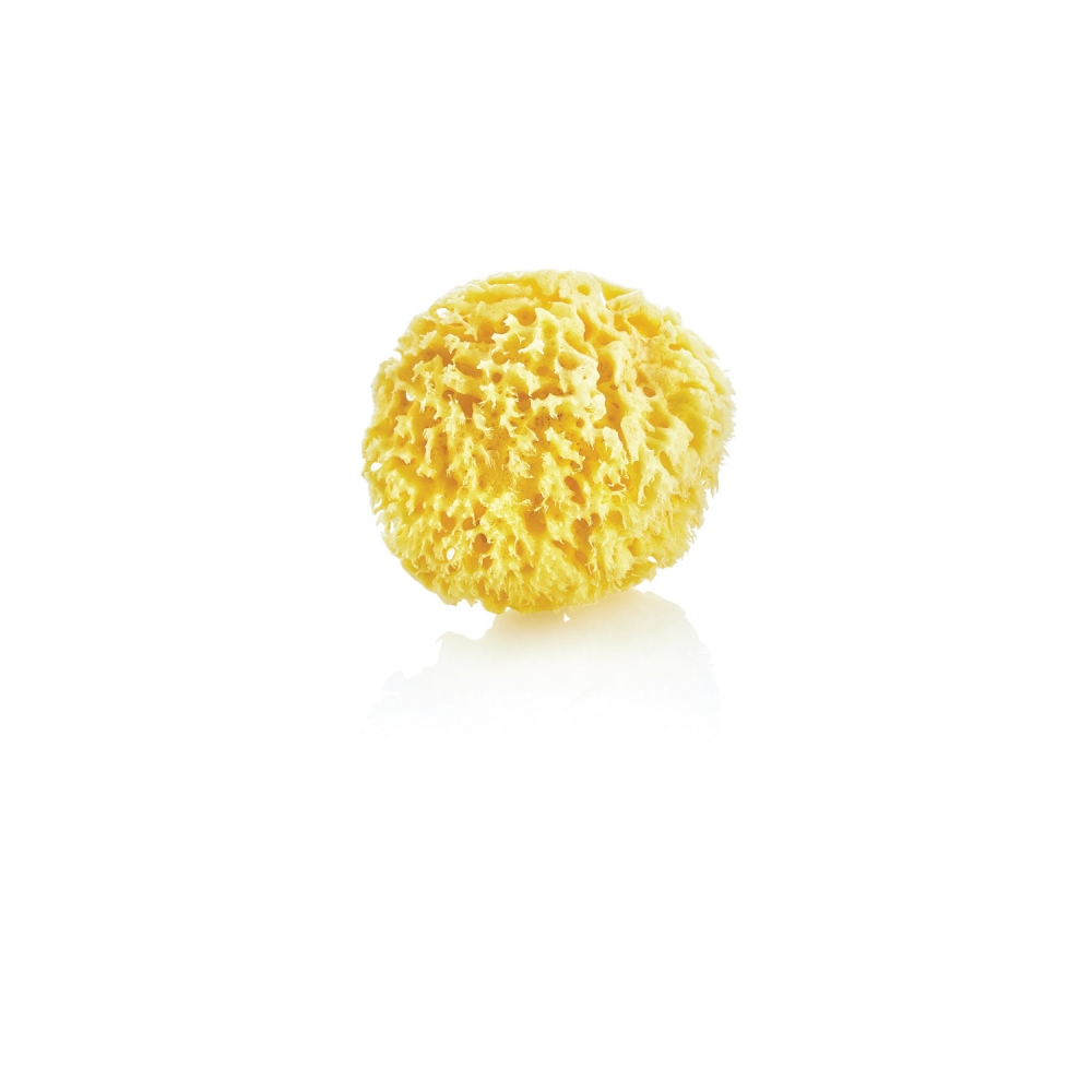 Burete Natural BabyJem Sea Sponge pentru Bebeluși - imagine 2